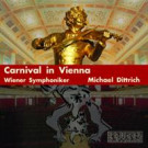 Carnival in Vienna