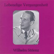 Wilhelm Strienz-21
