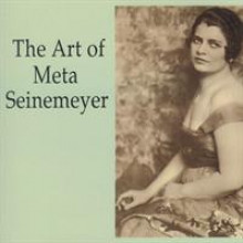 The Art of Meta Seinemeyer-21